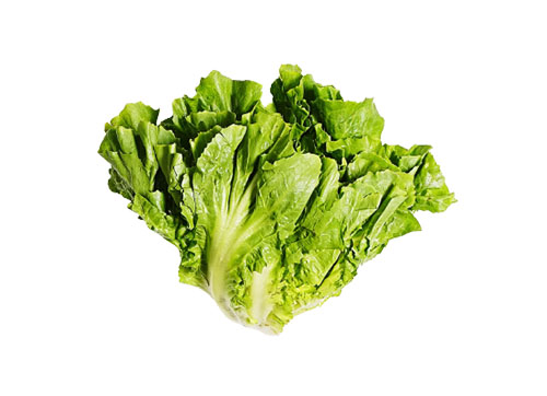 Escarole