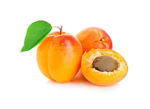 Apricot